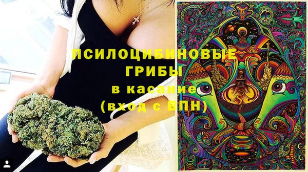 героин Дмитриев