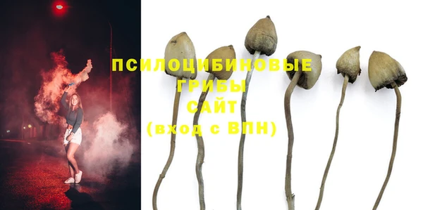 героин Дмитриев