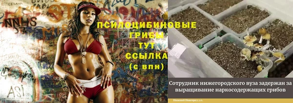 прущие крисы Дмитровск