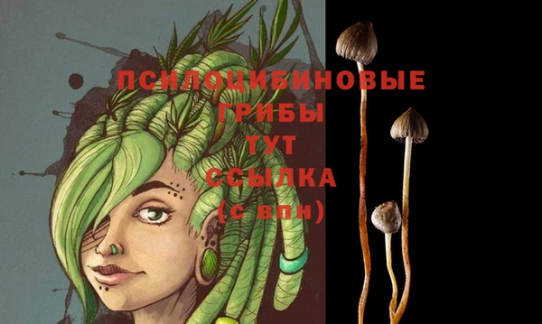 кристаллы Дмитров