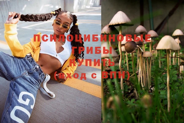 прущие крисы Дмитровск