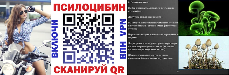 Купить  Советская Гавань  Псилоцибиновые грибы прущие грибы 