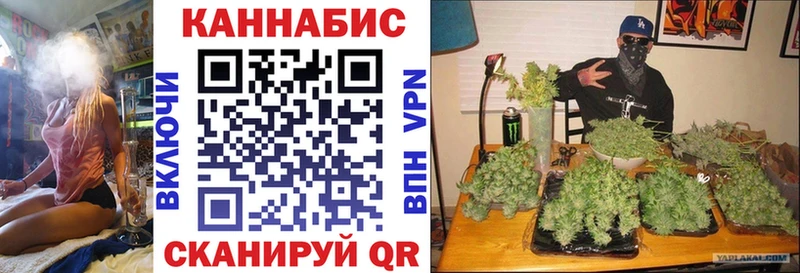 Канабис конопля  Купить закладки  Советская Гавань 